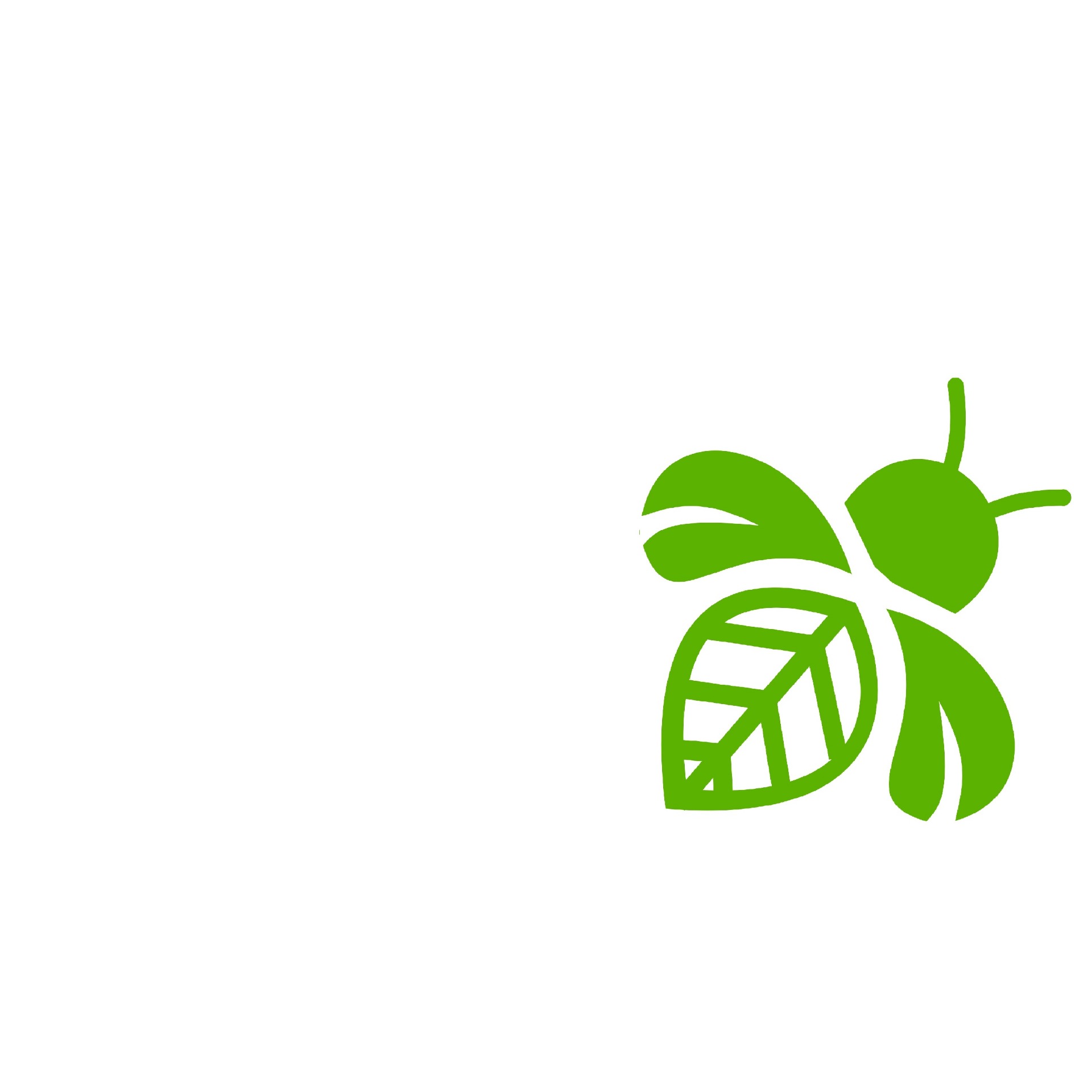 charola-grande-biodeeco